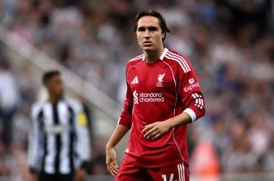 赖斯盛赞图,赫尔,他激发球队,宝威体育官网,APP下载,注册领彩金,官方网站,网站入口