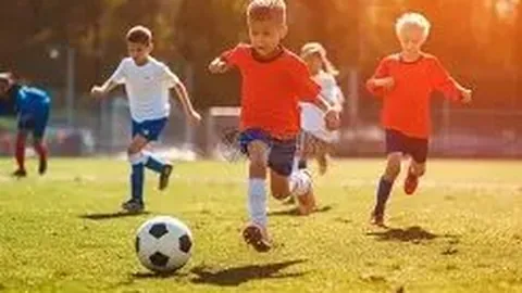 宝威体育 资讯 131419 n97